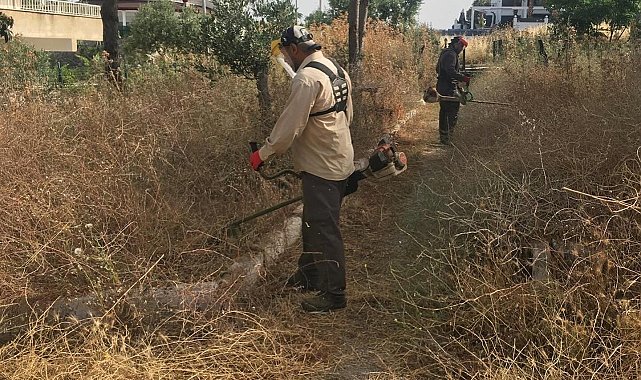 Didim Belediyesi'nden 'kuru ot' seferberliği