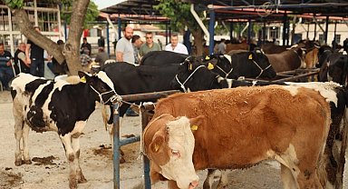 Didim'de kurban kesim yerleri belli oldu