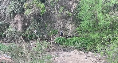 Dilenci önde zabıta amiri arkada adeta maraton koşusuna çıktılar