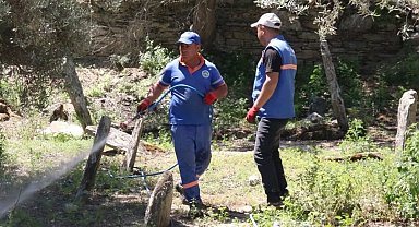 Direcik Mahallesi'nde belediye ekipleri iş başı yaptı