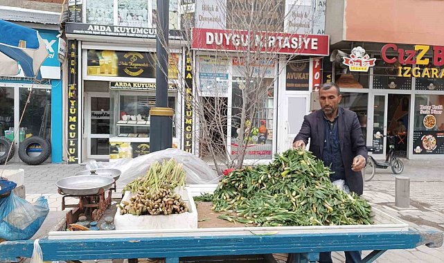 Diyadin'de baharın müjdecisi ışkın ve çiriş tezgahları süslüyor