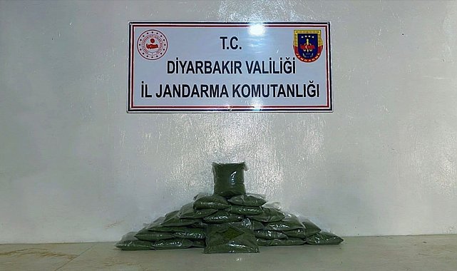 Diyarbakır'da çalılıklar arasında muhafaza edilmiş 77 kilo esrar ele geçirildi
