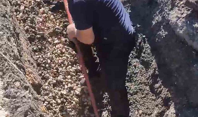 Diyarbakır'da kanalizasyon borusunda mahsur kalan kuzu böyle kurtarıldı