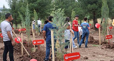 Diyarbakır'da "Koruyucu Aile Hatıra Ormanı" oluşturuldu