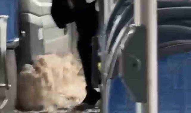 Diyarbakır'da sağanak yağış nedeniyle biriken su halk otobüsüne taştı