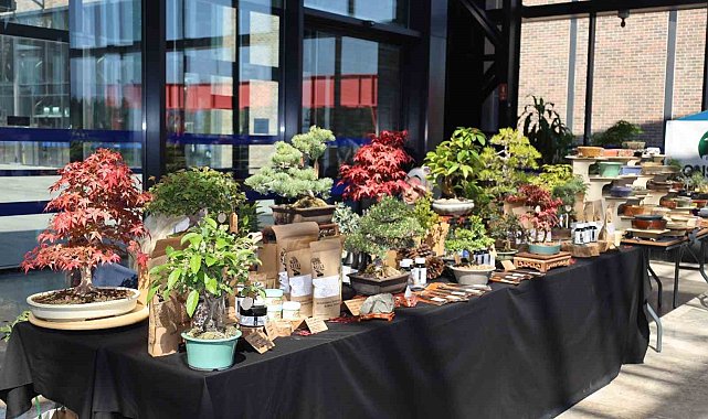 Doğa ve sanat tutkunları bonsai sanatı ile tanıştı