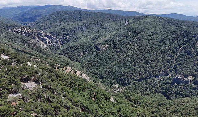 Doğa yürüyüşünde kaybolan Çevre ve Şehircilik İl Müdür Yardımcısını arama çalışmalarına 100 kişilik ekip sevk edildi