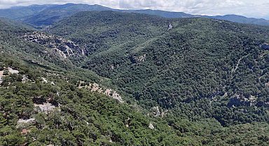 Doğa yürüyüşünde kaybolan Çevre ve Şehircilik İl Müdür Yardımcısını arama çalışmalarına 100 kişilik ekip sevk edildi