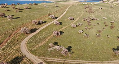 Doğaseverlerin yeni rotası Çarpanak yarımadası