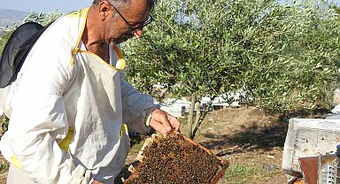 Doktorun annesine bal tavsiyesi hayatını değiştirdi
