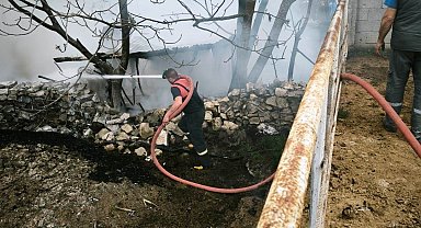 Domaniç'te çıkan yangında 100 tavuk telef oldu