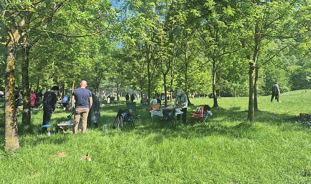 Düzce'de güneşi görenler soluğu mesire alanlarında aldı