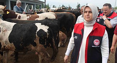 Düzce'de Kurban Bayramı öncesi sıkı denetim