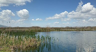 Eber Gölü'nde azalan su seviyesi endişe verici boyutlara geldi