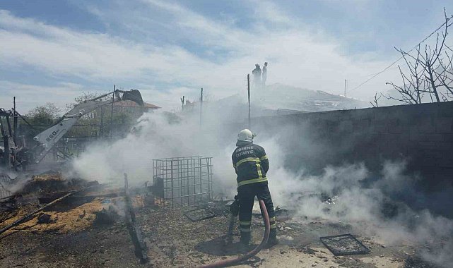 Edirne'de samanlık yangını eve sıçradı