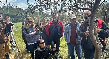 Edremit MYO'da zeytin aşılama eğitimi