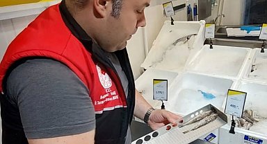 Edremit'te su ürünleri denetimleri aralıksız sürüyor