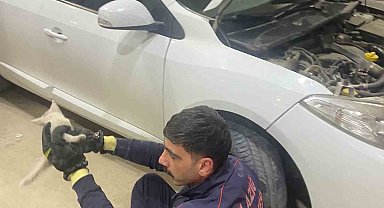 Elazığ'da aracın motor kısmına sıkışan kedi, itfaiye tarafından kurtarıldı
