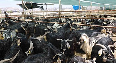 Elazığ'da kurban satış ve kesim alanı belirlendi