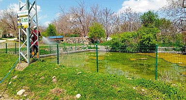 Elazığ'da larva ilaçlama çalışmaları sürüyor