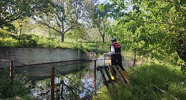 Elazığ'da larva ile mücadele çalışmaları sürüyor