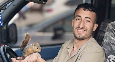 Eliyle beslediği sincap, peşini bırakmadı