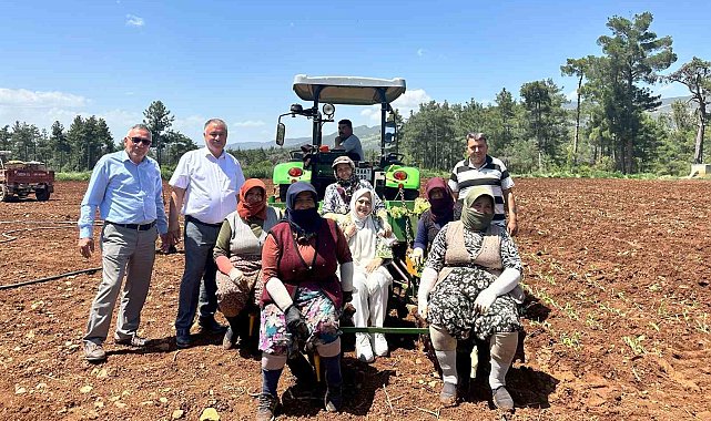 Emekçi kadınlar Anneler Gününü tütün tarlasında kutladı