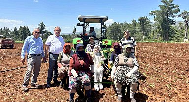 Emekçi kadınlar Anneler Gününü tütün tarlasında kutladı