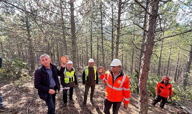 Emet Orman İşletme Müdürlüğü'nde silvikültür ve işletme pazarlama eğitimi