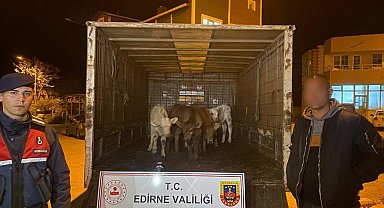 Enez'de ağıldan 6 adet hayvan çalan şüpheliler yakalandı