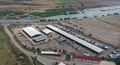 Erbaa hayvan pazarı yeniden kapatıldı