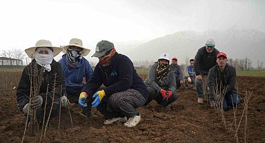 Erzincan bölgenin fidan ihtiyacını karşılıyor