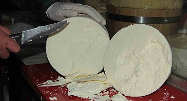 Erzincan tulum peyniri, Avrupa Birliği'nden coğrafi işaret tescili aldı