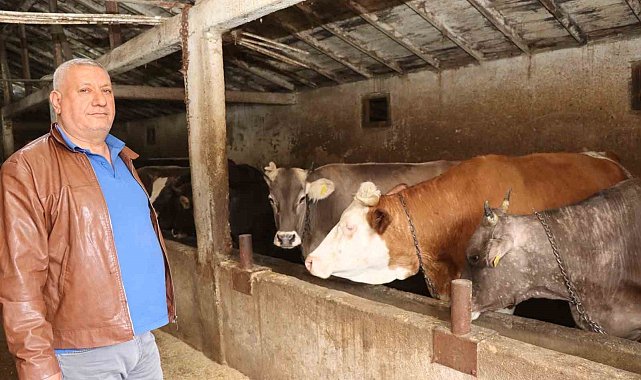 Erzurum'da kurbanlık satışında bekleyiş sürüyor