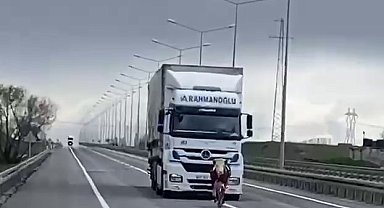 Erzurum'da tosun karayoluna çıktı