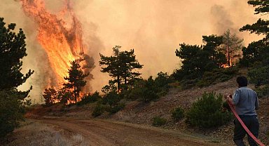 Eskişehir ve Afyonkarahisar'da ormanlık alanlara girişler yasaklanıyor
