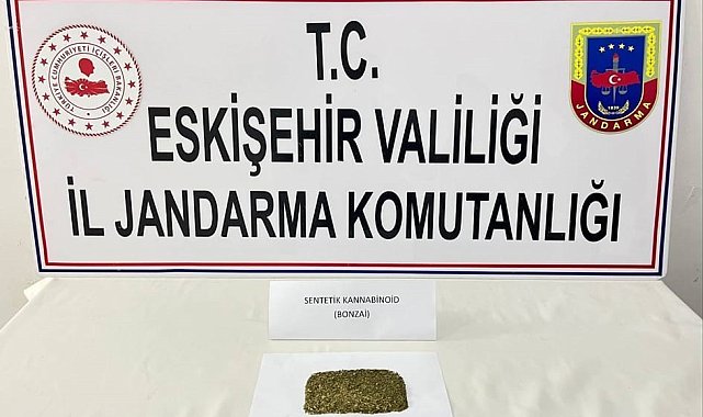 Eskişehir'de ilçeye uyuşturucu taşıyan 2 şüpheli yakalandı