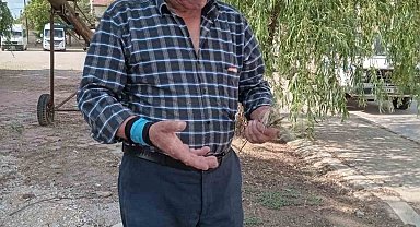 Eskişehir'de zirai don, buğday ve arpa üretimini vurdu