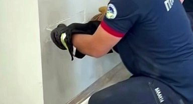 Fabrika duvarına sıkışan yavru kedinin imdadına itfaiye yetişti