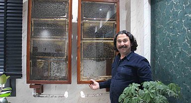Fabrikasında 5 bin işçi ile 'bal' gibi çalışıyor