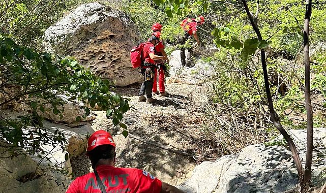 Fethiye'de derede mahsur kalan köpek kurtarıldı