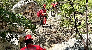 Fethiye'de derede mahsur kalan köpek kurtarıldı