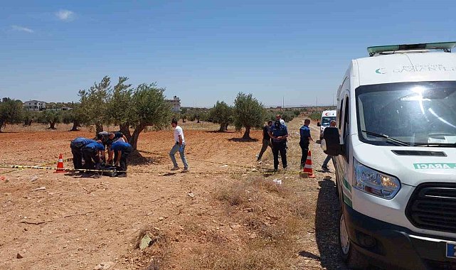Gaziantep'te bir genç zeytin tarlasında ölü bulundu