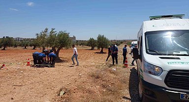 Gaziantep'te bir genç zeytin tarlasında ölü bulundu