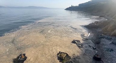 Gemlik'te müsilaj paniği