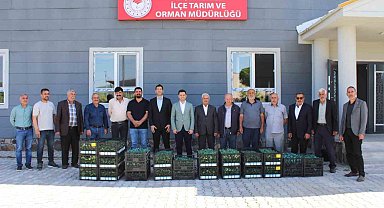Genç'te üreticilere sebze fidesi dağıtıldı