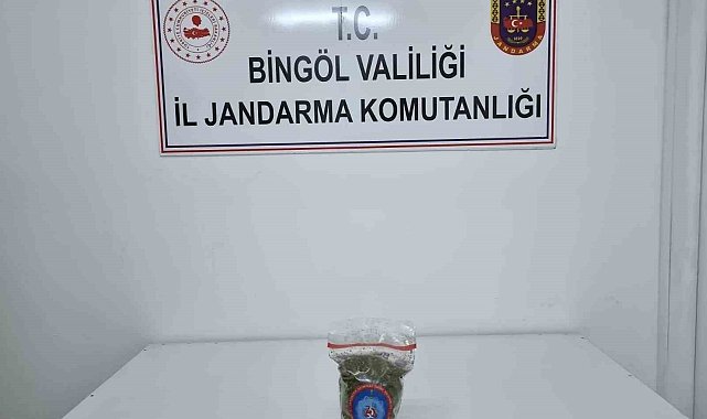 Genç'te uyuşturucu operasyonu