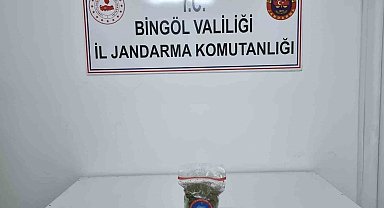 Genç'te uyuşturucu operasyonu
