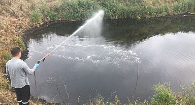 Germencik Belediyesi'nden yaz öncesi yoğun ilaçlama mesaisi