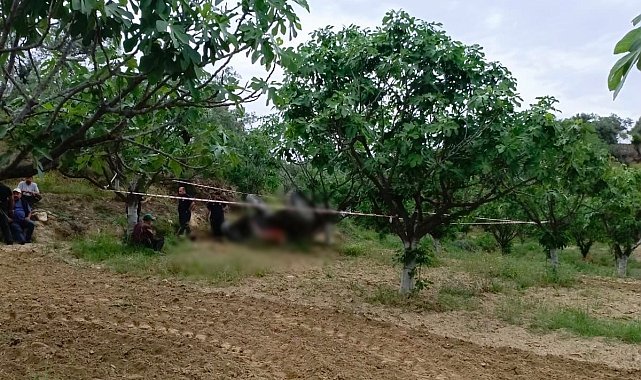 Germencik'te devrilen traktörün altında kalan şahıs hayatını kaybetti